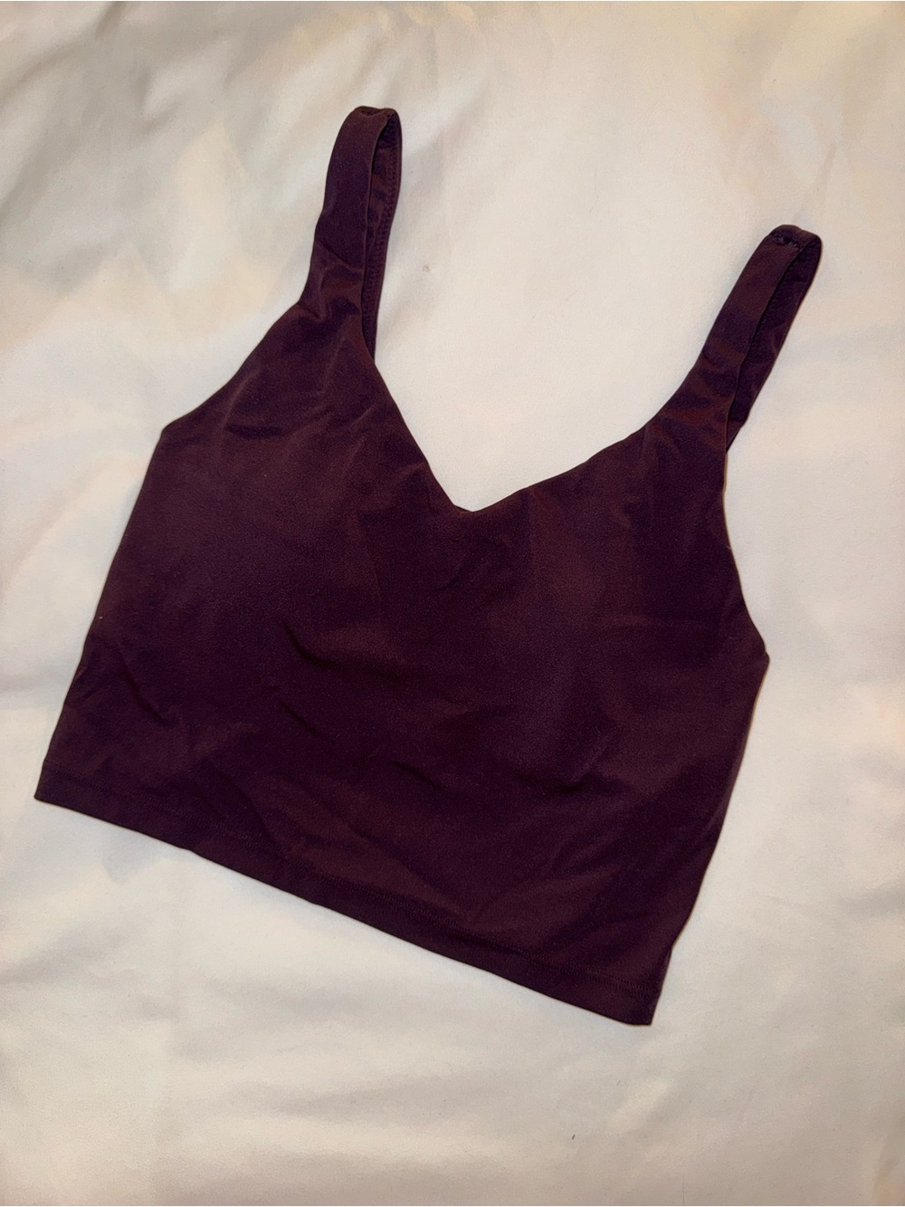 Aerie Sports Bra Tank